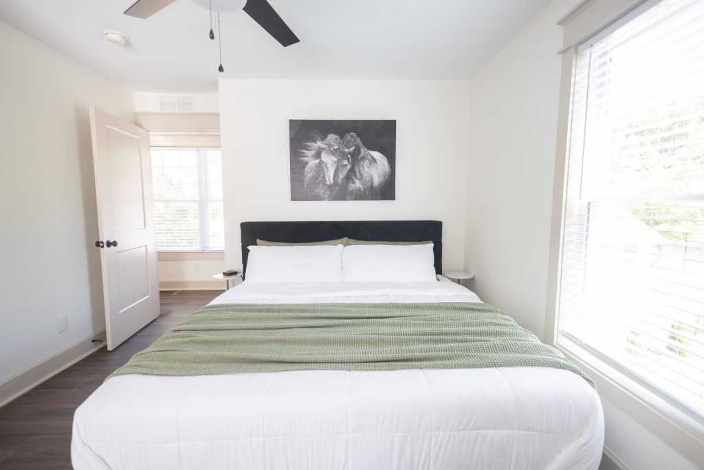 Second bedroom with king bed